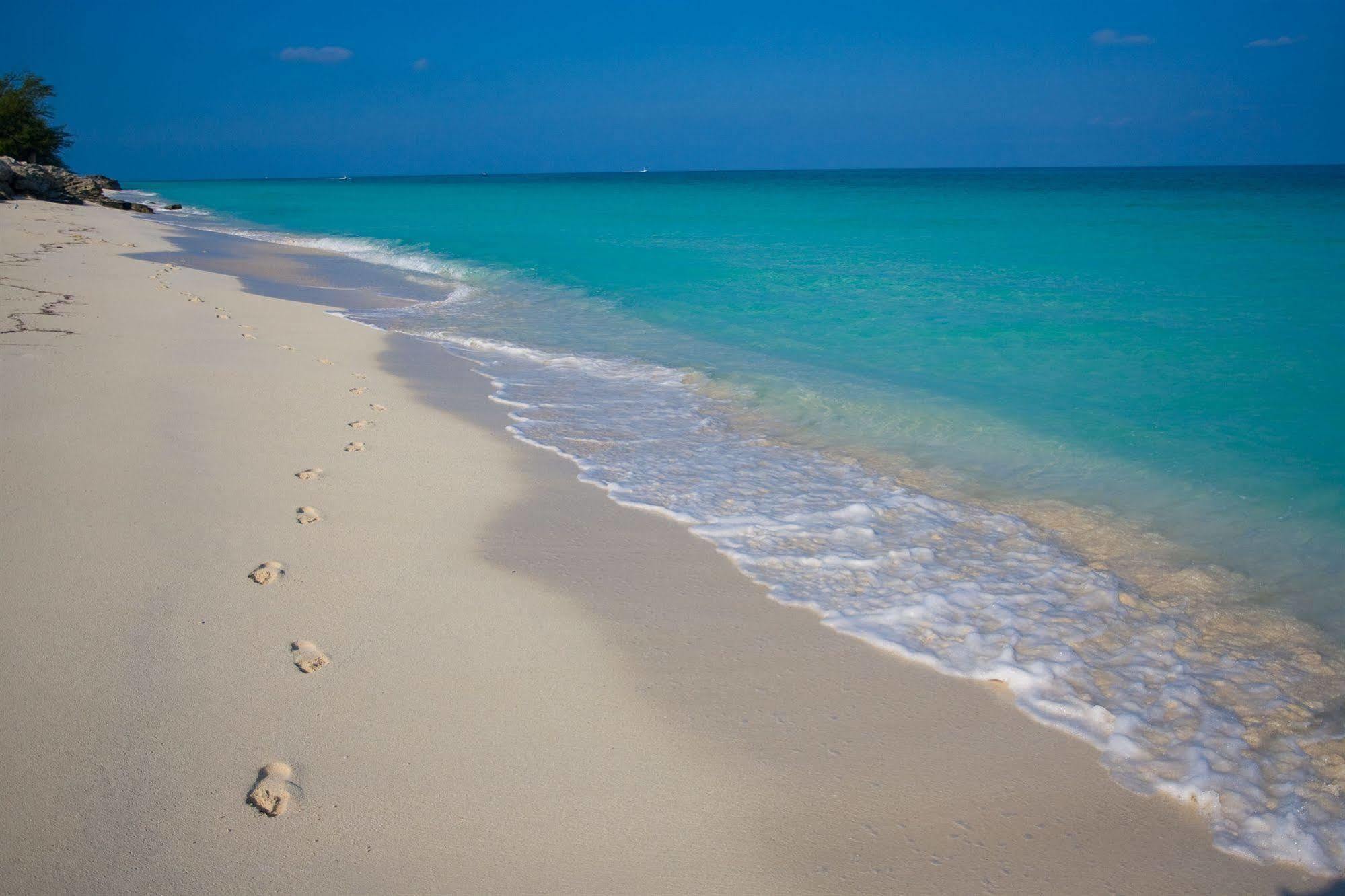 Resorts World Bimini Bayley Town Εξωτερικό φωτογραφία